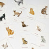 Cat and Kittens Memory Game | Conscious Craft
